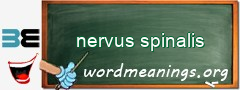 WordMeaning blackboard for nervus spinalis